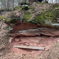 23-03-05 12-01-20 4749